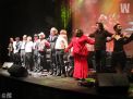 Festival International de Boogie Woogie de Cambrai le 25 janv 2014