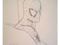 Spiderman par Sandoval (Lille Comics Festival 2016)