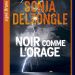 Noir comme l’orage de Sonja Delzongle