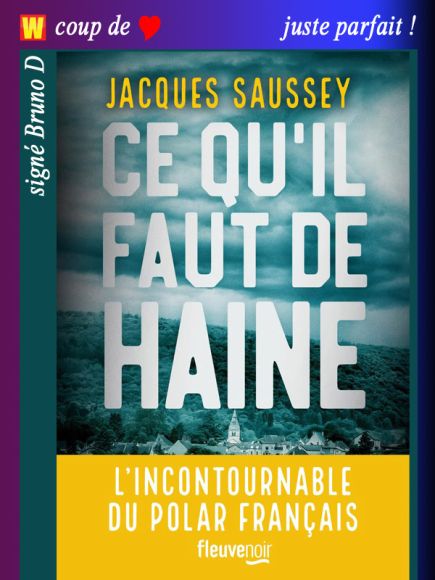 Ce qu’il faut de haine de Jacques Saussey