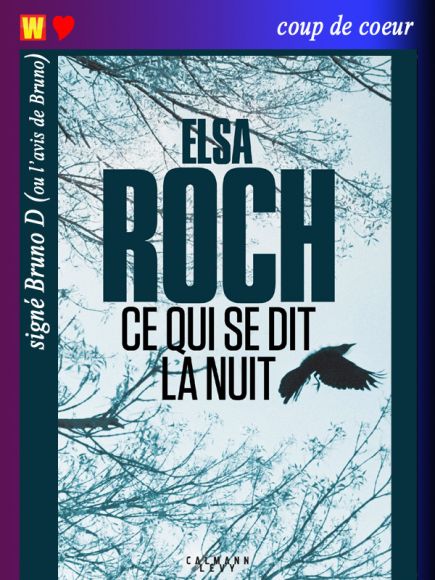 Ce qui se dit la nuit d’Elsa Roch