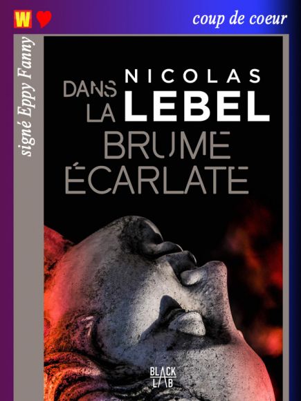 Dans la brume écarlate de Nicolas Lebel vu par Eppy Fanny