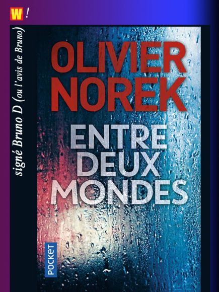 Entre deux mondes d’Olivier Norek vu par Bruno