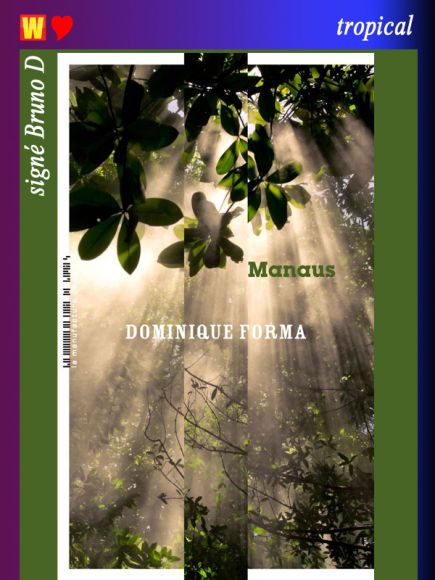 Manaus de Dominique Forma