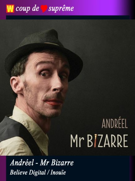 Monsieur Bizarre d'Andréel