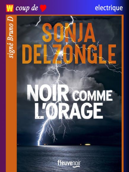 Noir comme l’orage de Sonja Delzongle