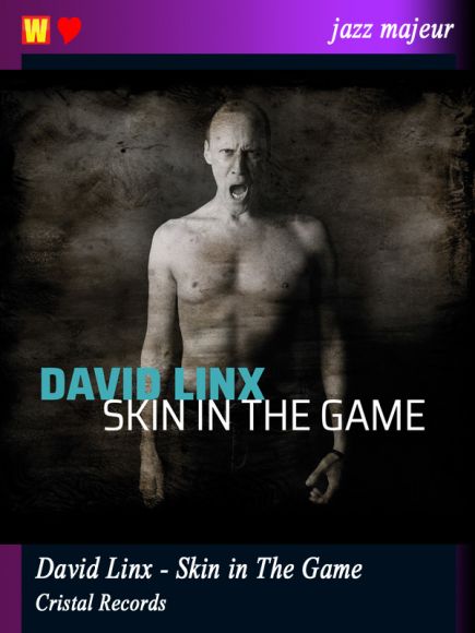 Skin in The Game de David Linx