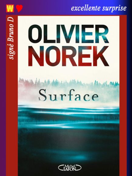 Surface d'Olivier Norek